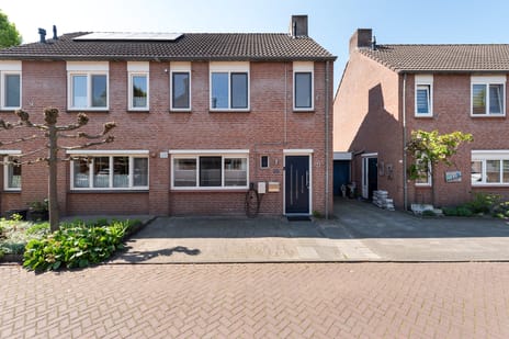 undefined main image