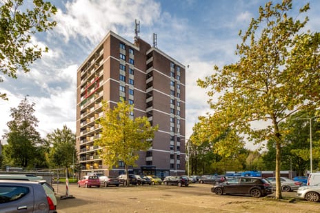 Evelindeflat 53