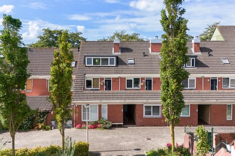 Pallieterburg 117 main image