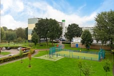 Afbeelding van Vliestroom 269 - Derde foto