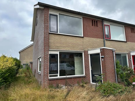 undefined main image