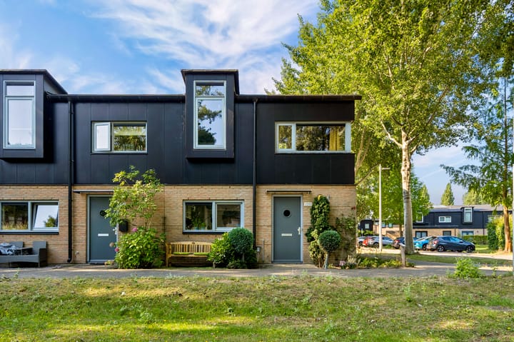 Walter Kollolaan 220 main image