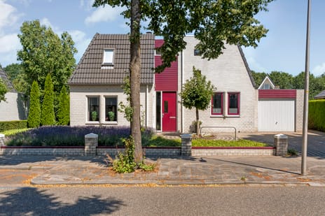 undefined main image