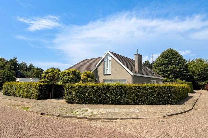 Zuidsingel 1-a main image