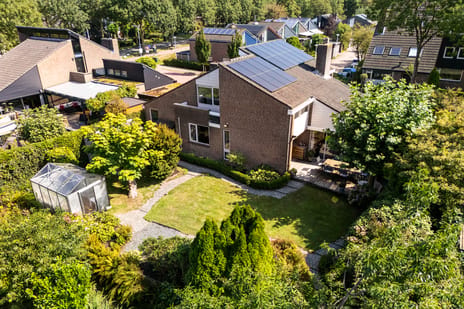 Afbeelding van Weidezoom 3 - Tweede foto