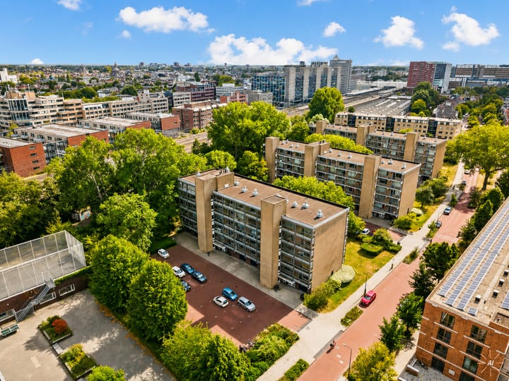 Boerhaavelaan 313 main image
