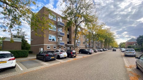 Albert Cuypstraat 248