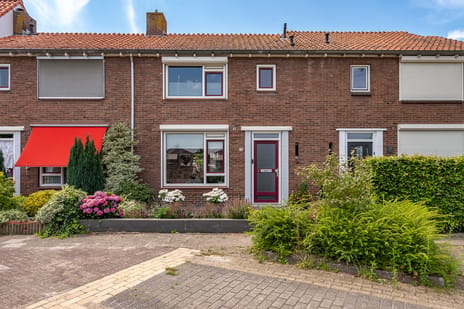 undefined main image