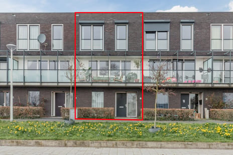 undefined main image