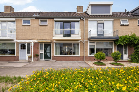 undefined main image