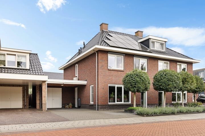 Roseweert 8 main image