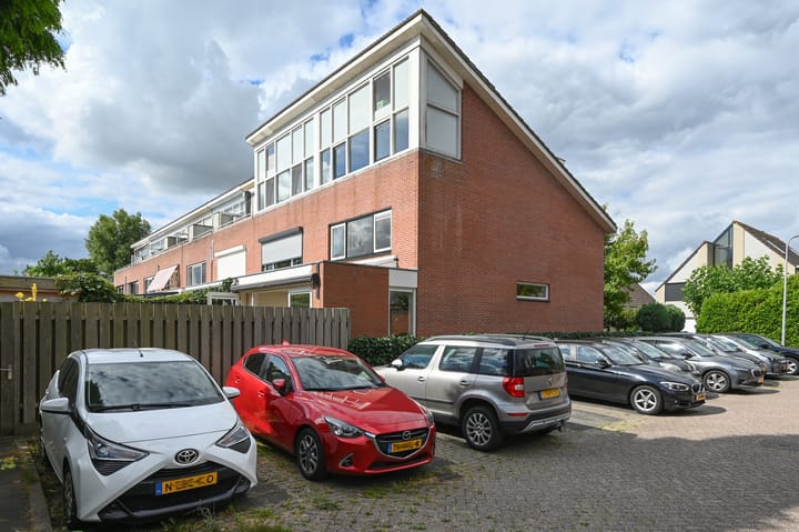 Noorse Lijster 11 main image
