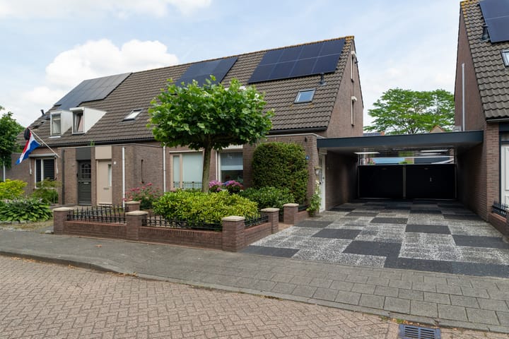 Maas 36 main image