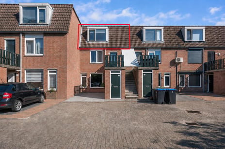 undefined main image