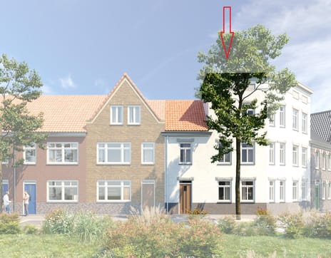 Singel bn 12