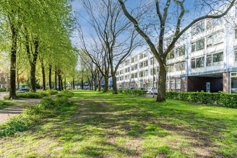 Trouwlaan 297