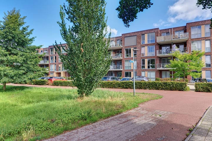 Havenspoor 205 main image