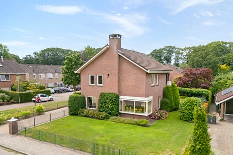 Afbeelding van Esdoorn 6 - Derde foto