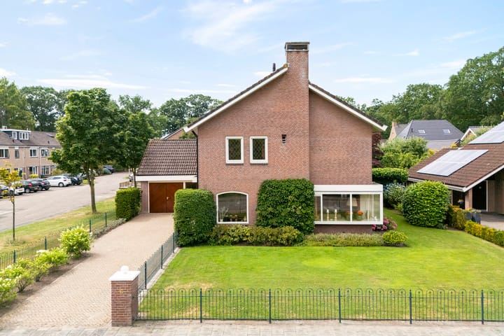 Esdoorn 6 main image