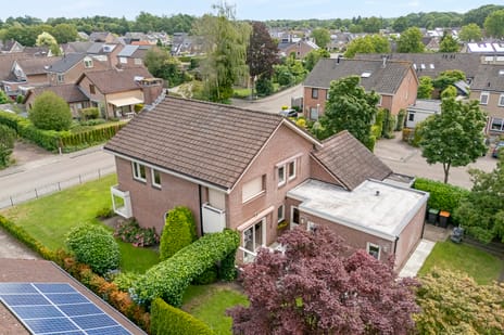 Afbeelding van Esdoorn 6 - Derde foto