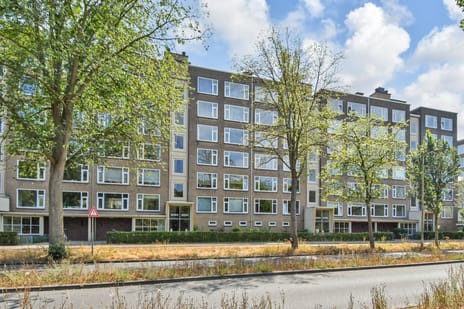 Segbroeklaan 248 main image