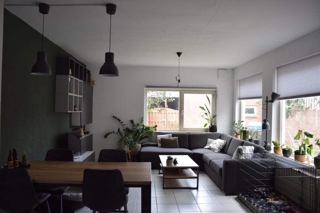 House Image 3