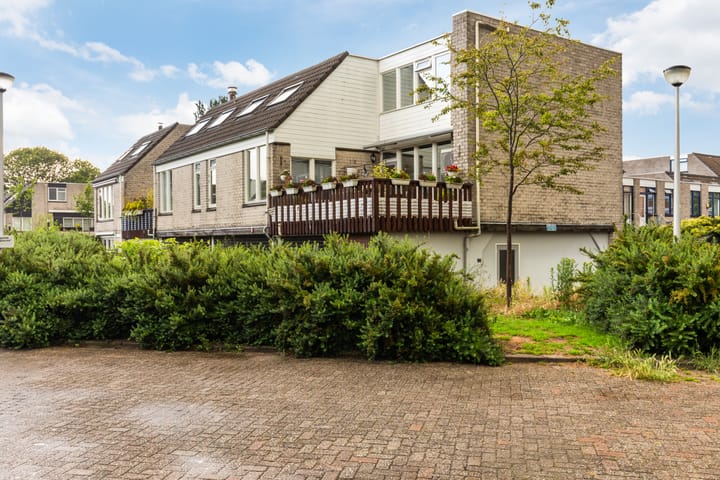Floris Burgwal 132 main image