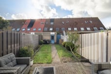 Afbeelding van Zeekoet 25 - Derde foto