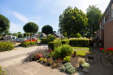 Afbeelding van Grutto 7 - Derde foto