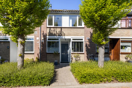 undefined main image