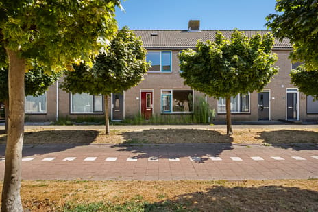 undefined main image