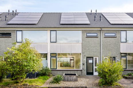 Liede 9 main image