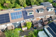 Afbeelding van Ooievaarsbek 19 - Tweede foto