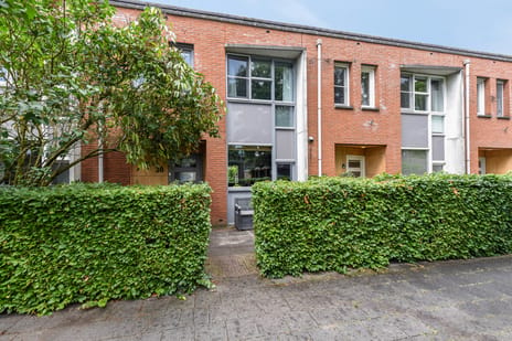 undefined main image