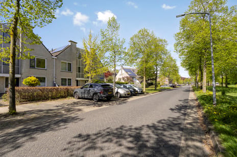undefined main image