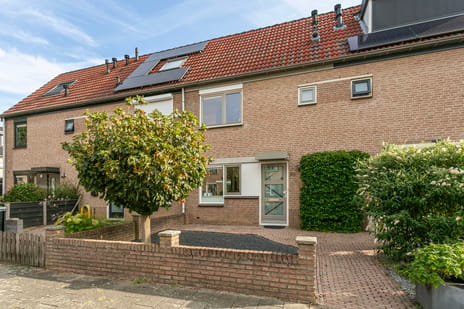 Hunze 39 main image