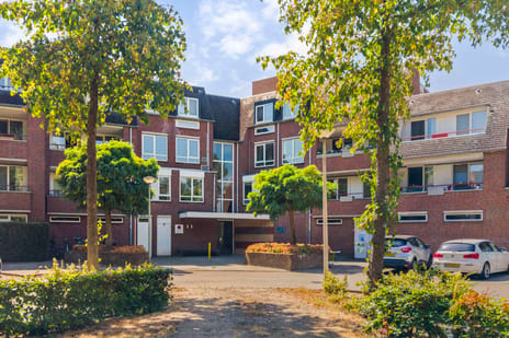 undefined main image