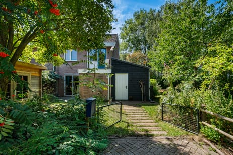undefined main image