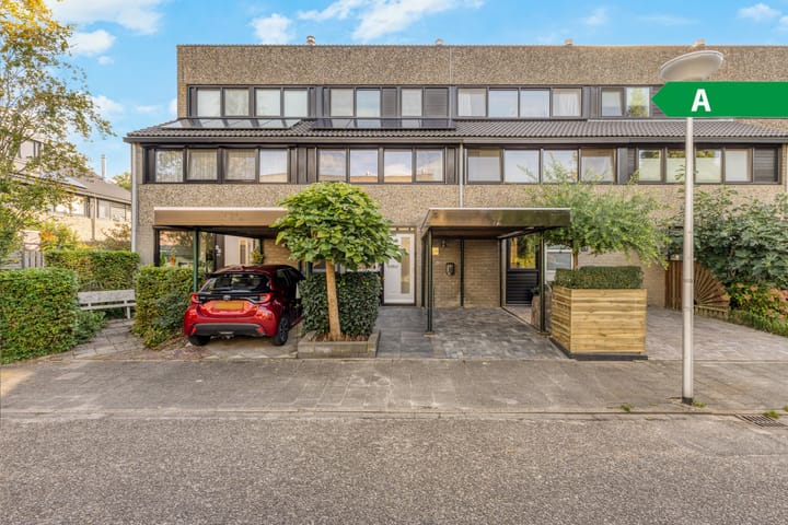 Deborah Hoeve 20 main image