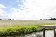 Afbeelding van Westerbuorren 11 - Derde foto