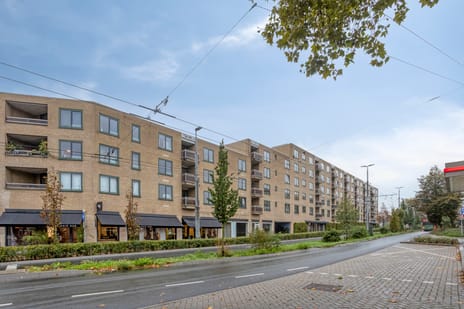 Ir J.P. van Muijlwijkstraat 318 main image