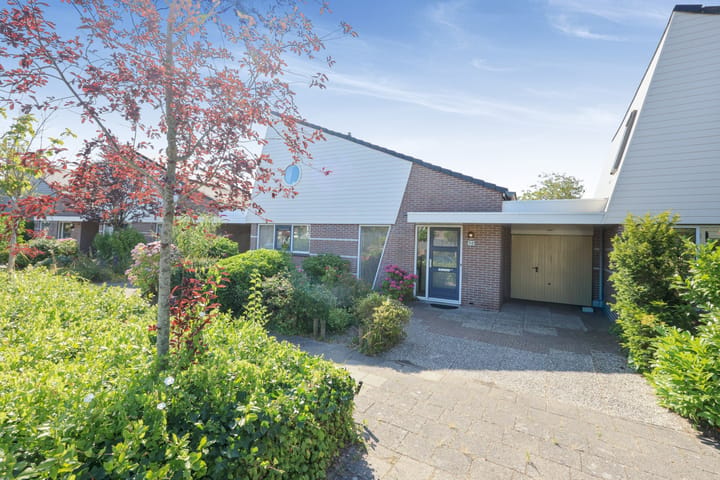 Wielewaal 38 main image