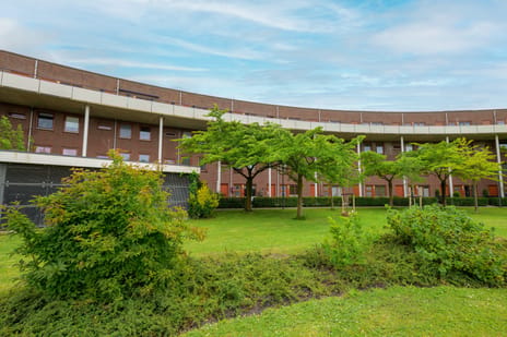 Kortlandpad 43 tertiary image