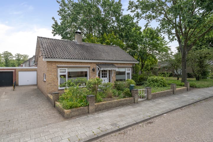 Scheldelaan 31 main image