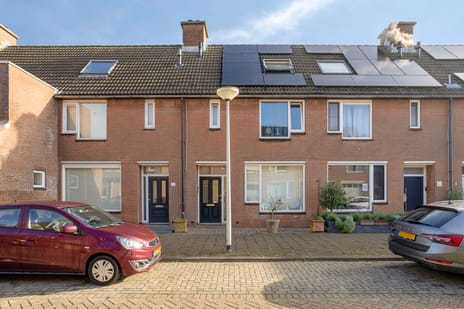 het Want 5