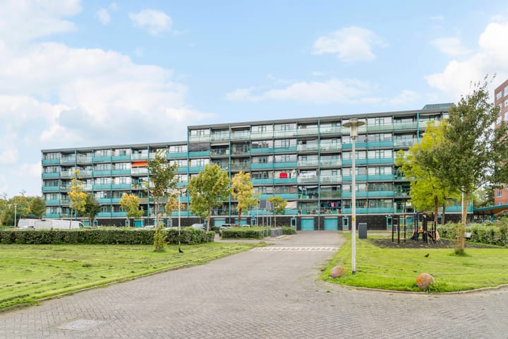 Iepenschans 18 main image