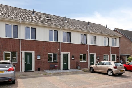 undefined main image