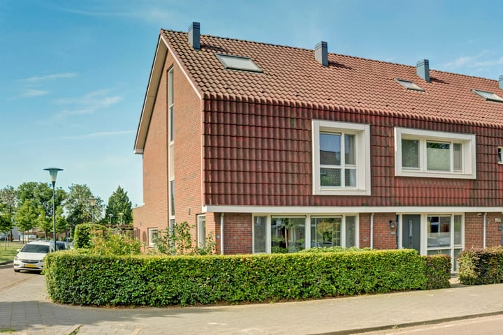 Buurmeester 38 main image