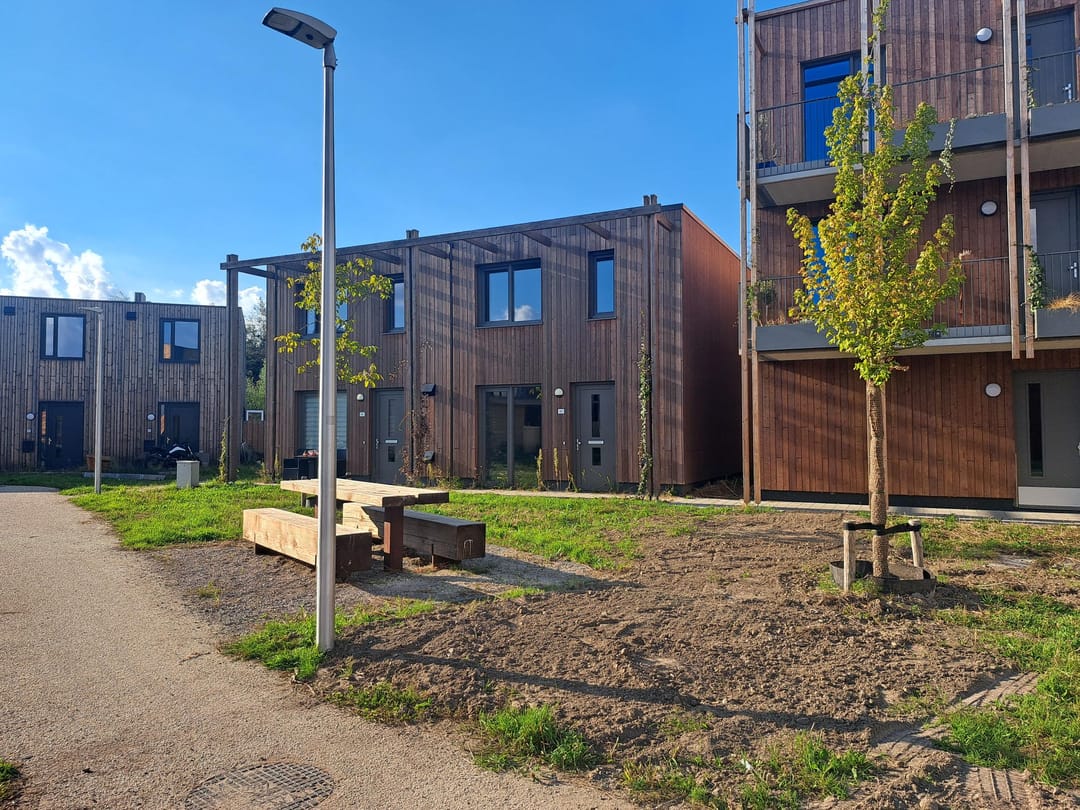 Langlaar in Eindhoven