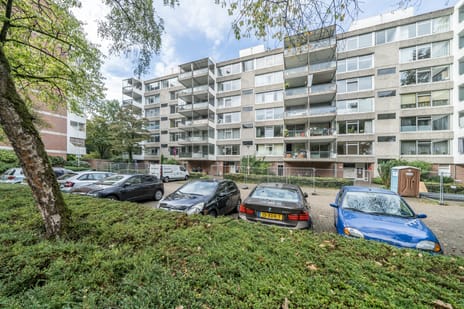 Rolandseck 28 main image